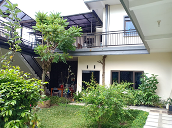 Penyegar Udara Ruangan, Tanaman Udara Segar di Rumah, Udara Segar,